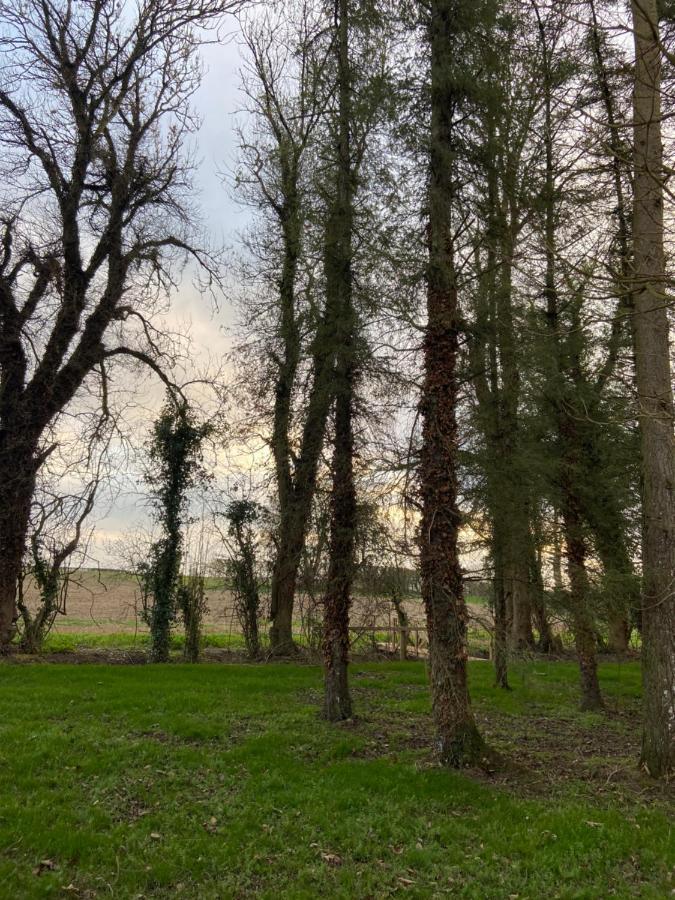 فيلا Kildare Countryside Pods المظهر الخارجي الصورة