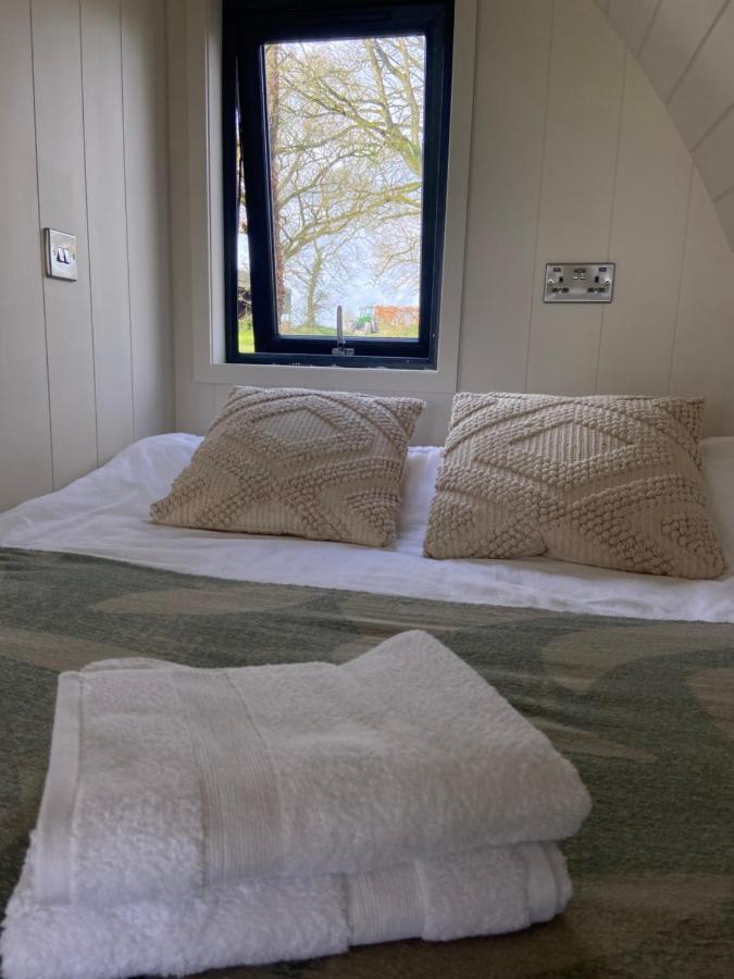 فيلا Kildare Countryside Pods المظهر الخارجي الصورة